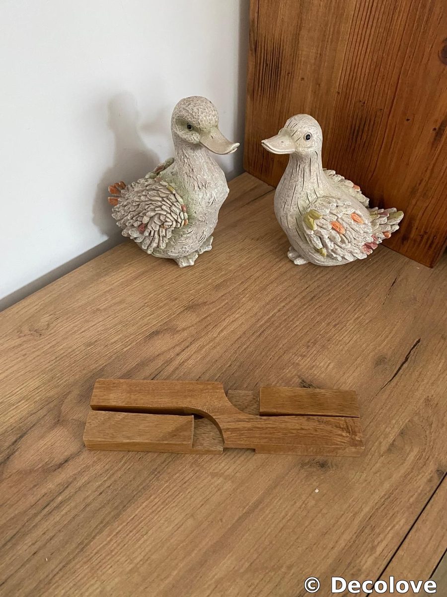 Set patos decorativos resina (x2)