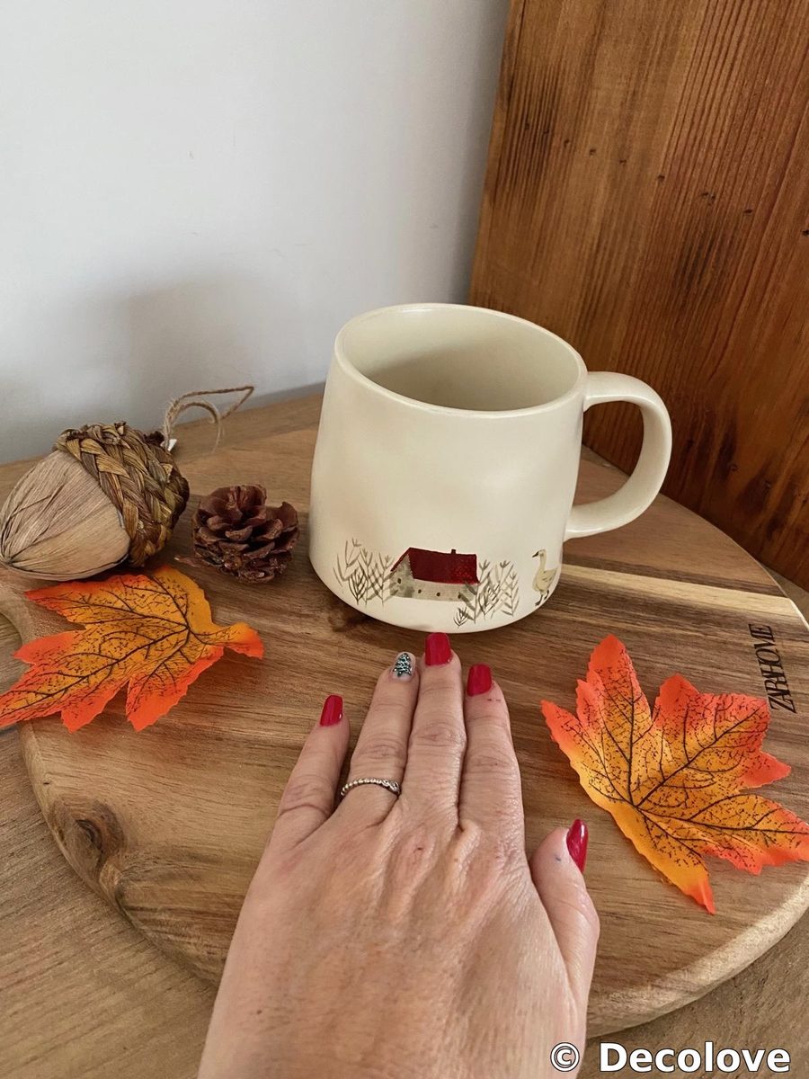 Taza casa y ganso otoño · foto 3